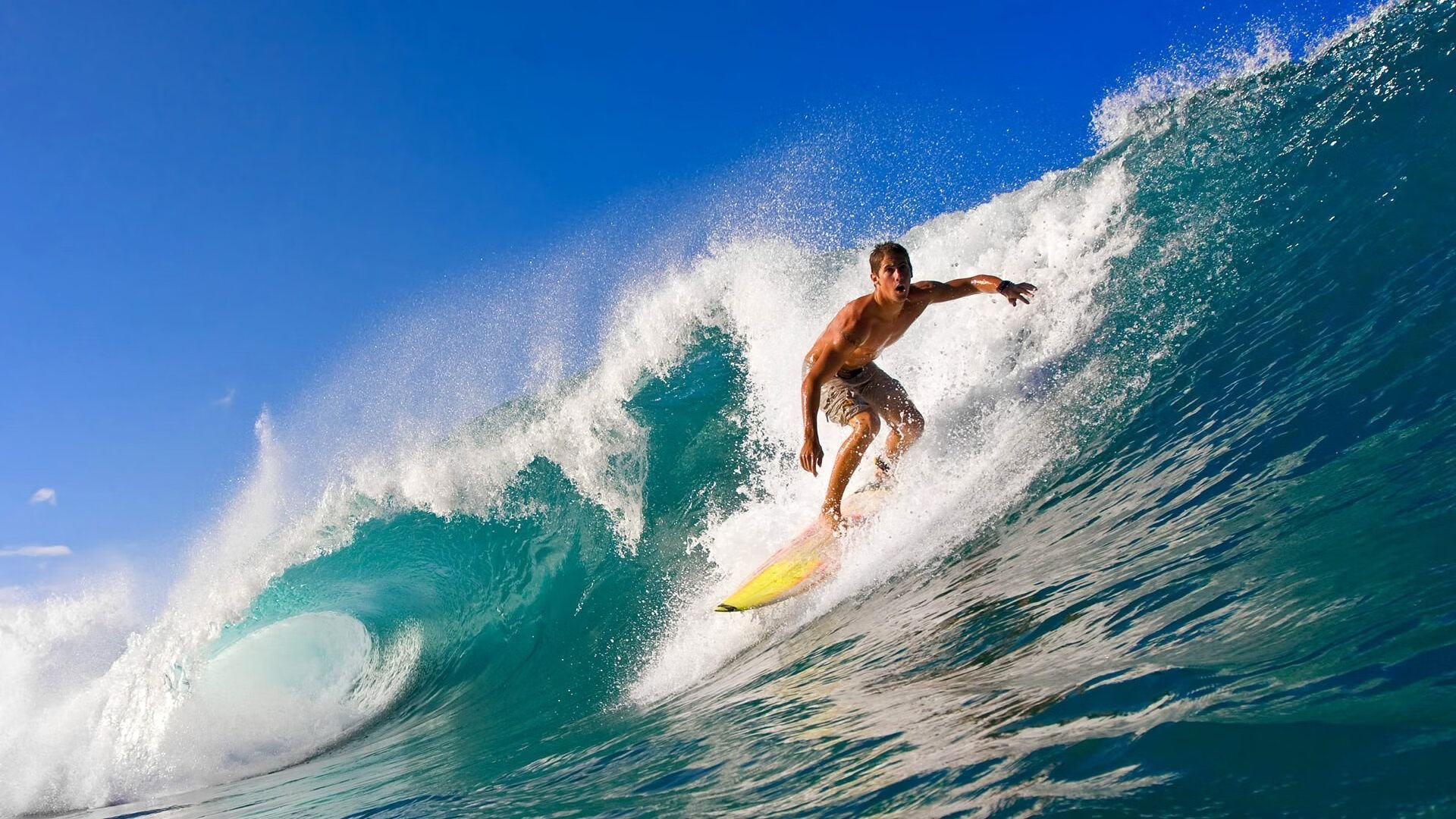 世界排名争夺战之夜，霍勒迪的防守，篮球世界的无声惊雷